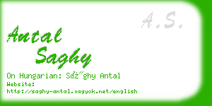 antal saghy business card